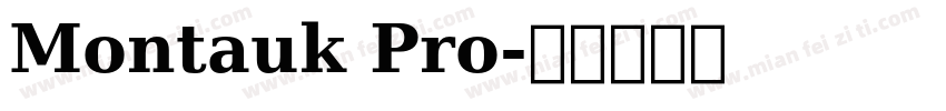 Montauk Pro字体转换